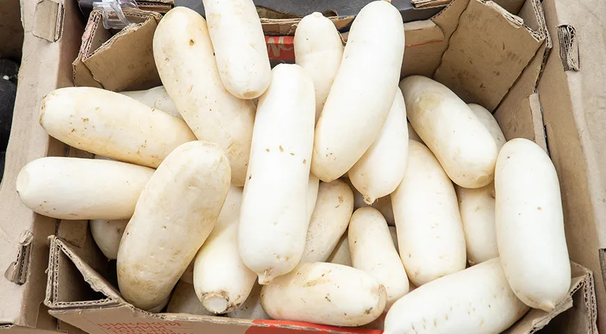 Kõige maitsvam ja mahlasem daikon on keskmise suurusega, vali siledad ja elastsed puuviljad ilma nähtavate kahjustusteta